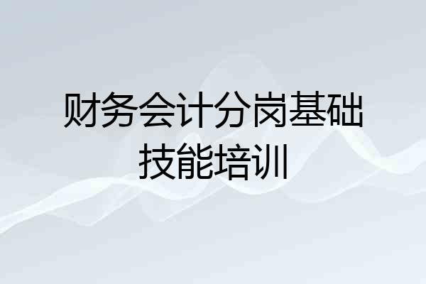 财务会计分岗基础技能培训