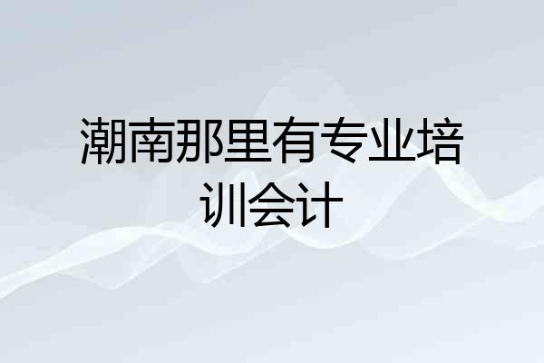 潮南那里有专业培训会计