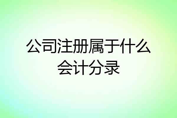 公司注册属于什么会计分录