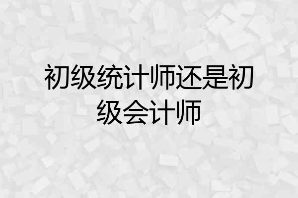 初级统计师还是初级会计师