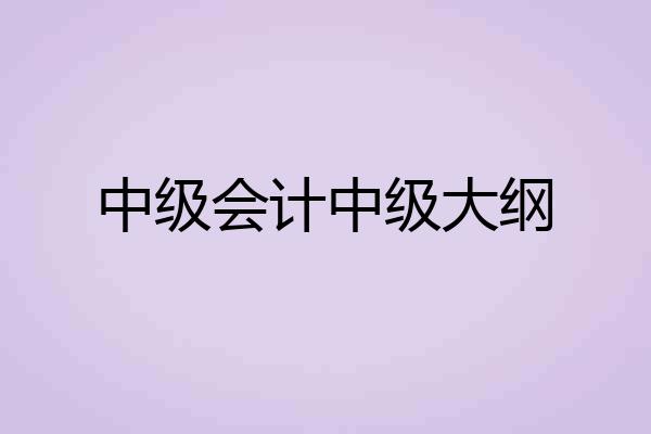 中级会计中级大纲