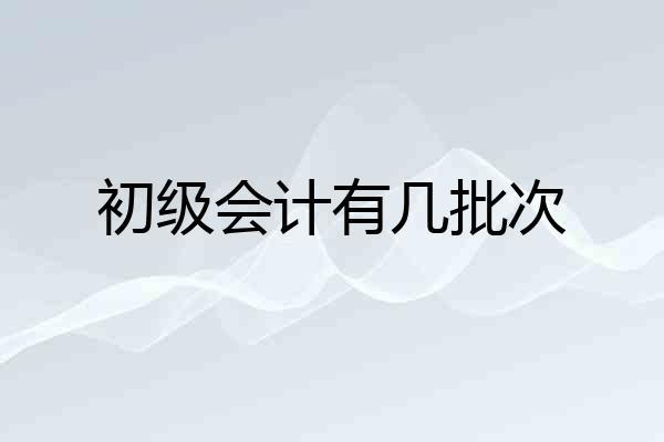 初级会计有几批次