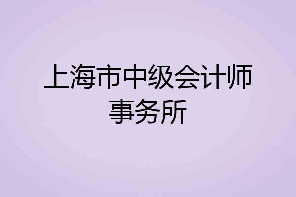 上海市中级会计师事务所
