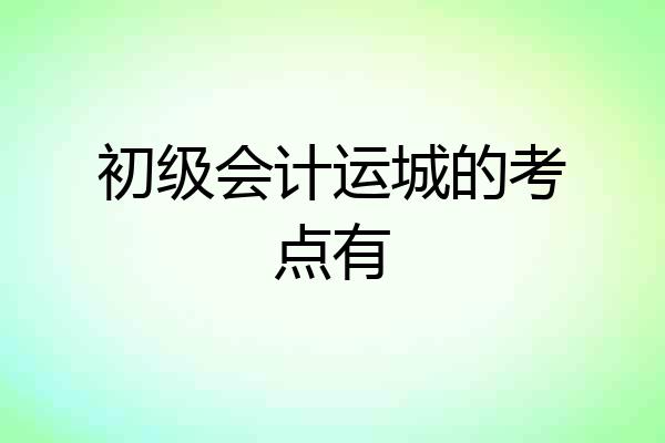 初级会计运城的考点有