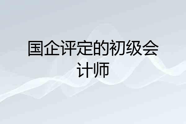 国企评定的初级会计师