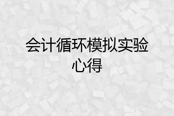 会计循环模拟实验心得