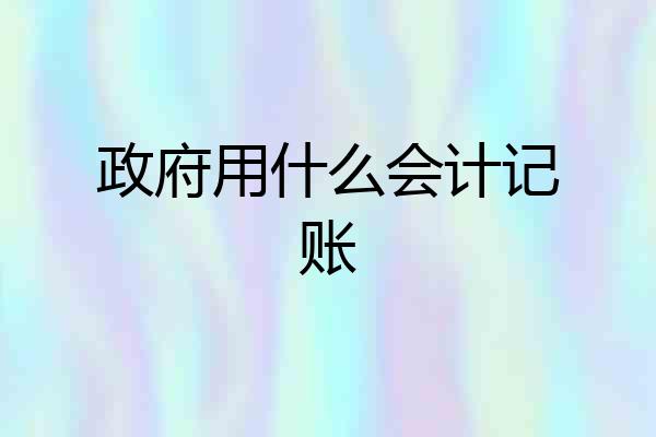 政府用什么会计记账