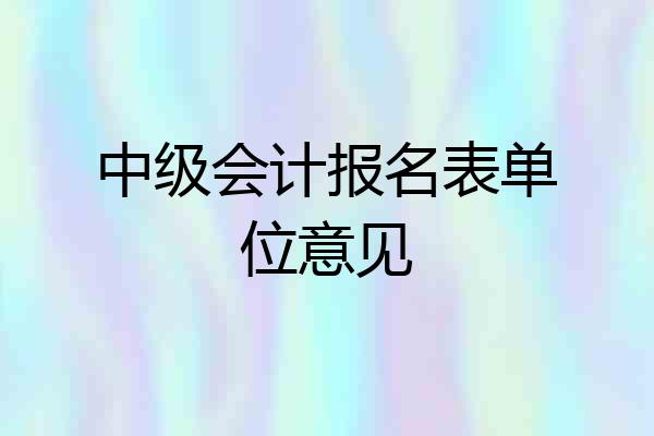 中级会计报名表单位意见