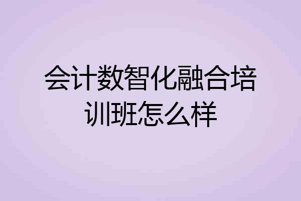 会计数智化融合培训班怎么样