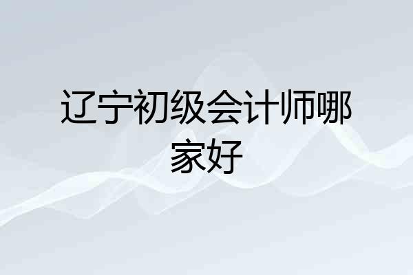 辽宁初级会计师哪家好