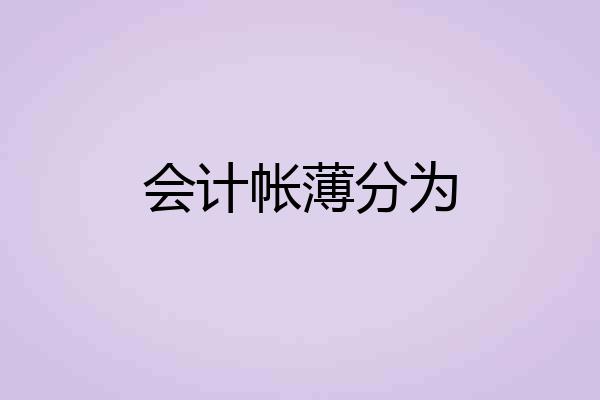 会计帐薄分为
