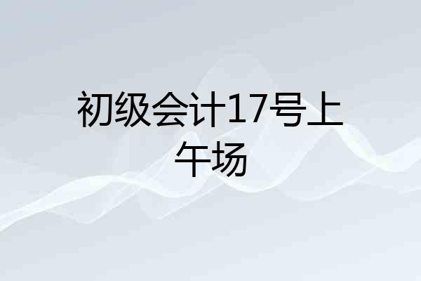 初级会计17号上午场