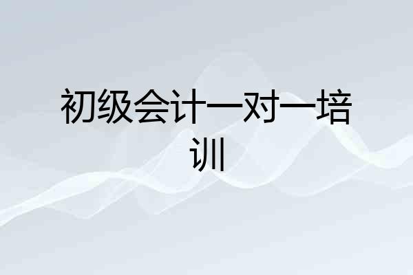 初级会计一对一培训