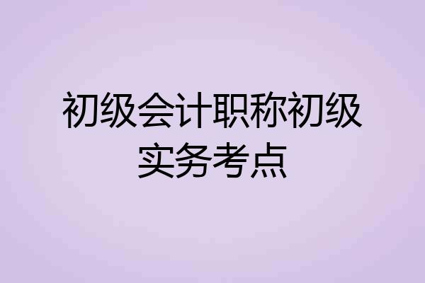 初级会计职称初级实务考点