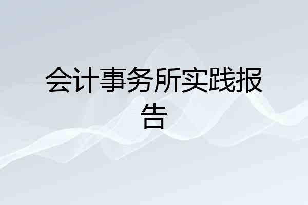 会计事务所实践报告