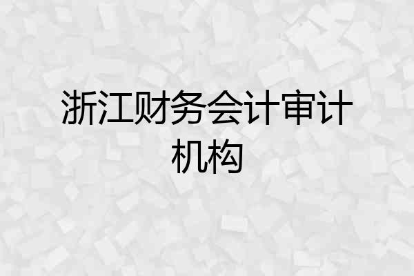 浙江财务会计审计机构