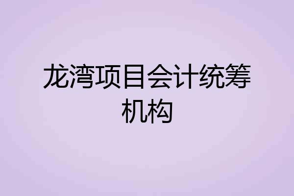 龙湾项目会计统筹机构