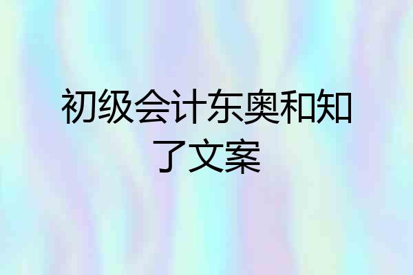 初级会计东奥和知了文案