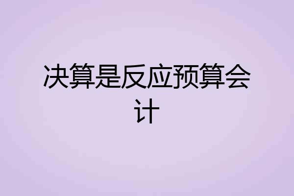 决算是反应预算会计