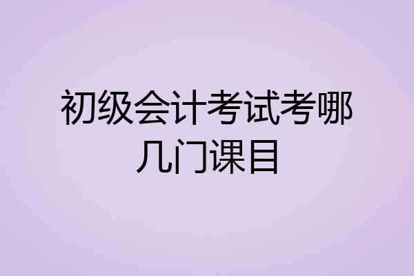 初级会计考试考哪几门课目