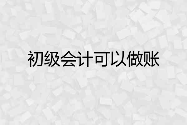 初级会计可以做账
