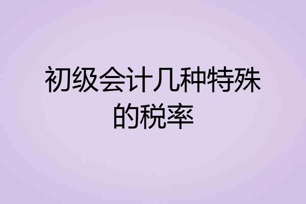 初级会计几种特殊的税率