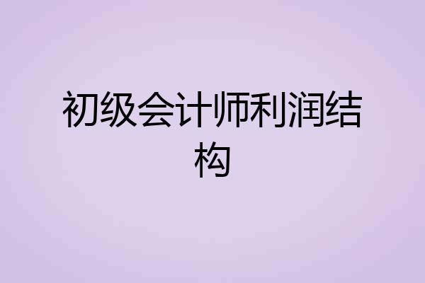 初级会计师利润结构
