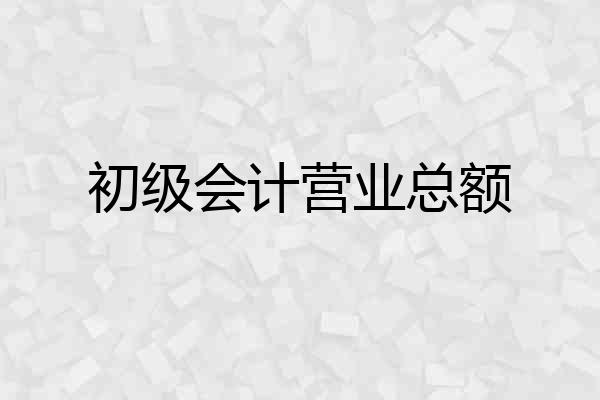 初级会计营业总额