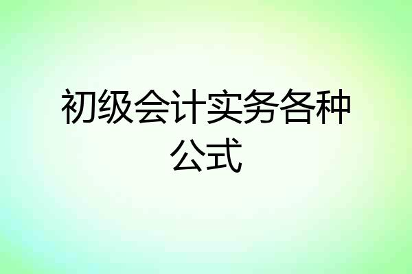 初级会计实务各种公式