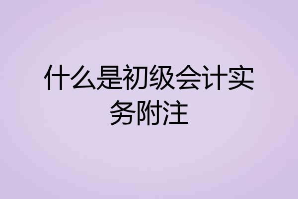 什么是初级会计实务附注