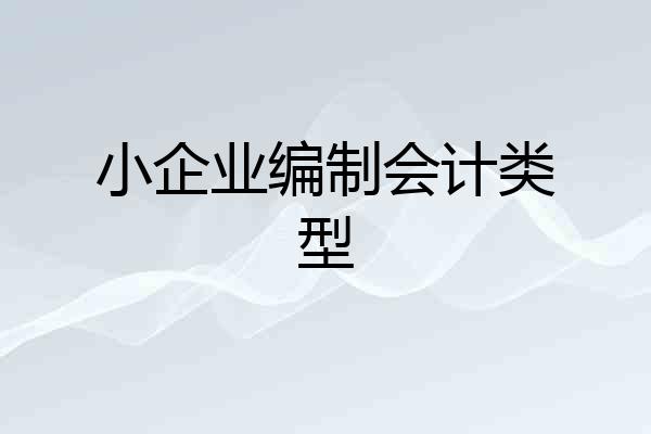 小企业编制会计类型