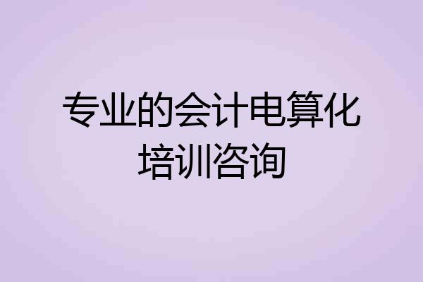 专业的会计电算化培训咨询