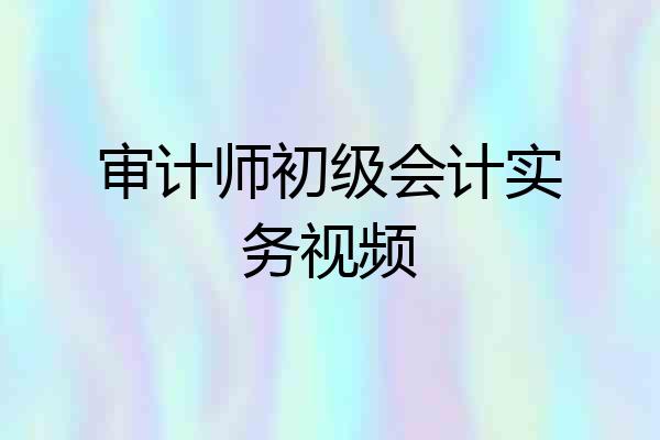 审计师初级会计实务视频