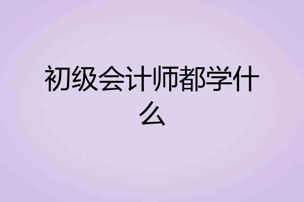 初级会计师都学什么