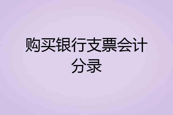 购买银行支票会计分录