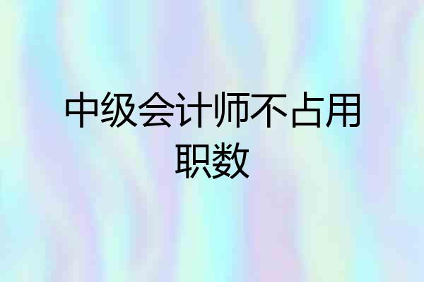 中级会计师不占用职数