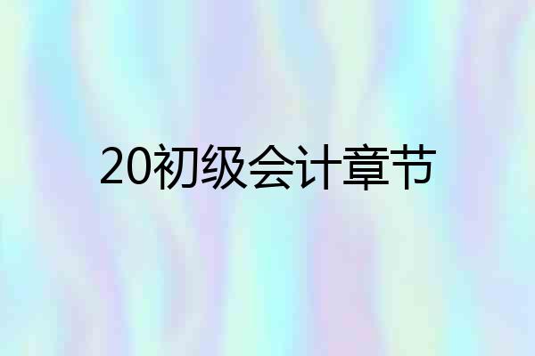 20初级会计章节