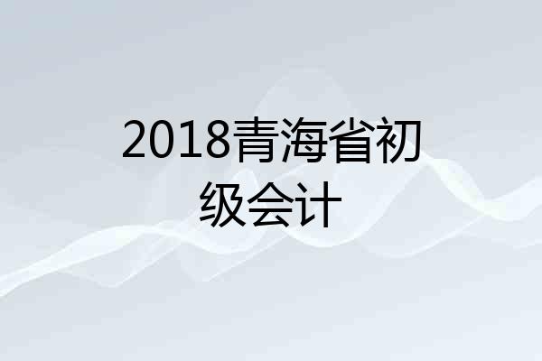 2018青海省初级会计