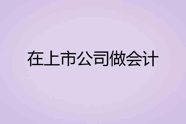 在上市公司做会计