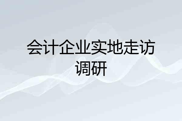 会计企业实地走访调研