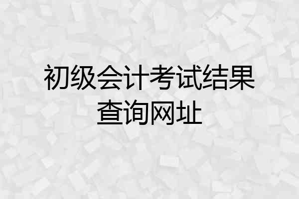 初级会计考试结果查询网址