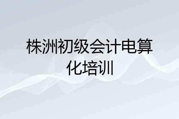 株洲初级会计电算化培训