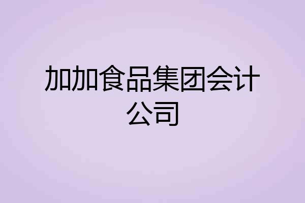 加加食品集团会计公司