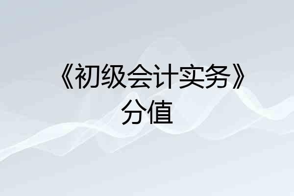 《初级会计实务》分值