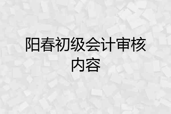 阳春初级会计审核内容