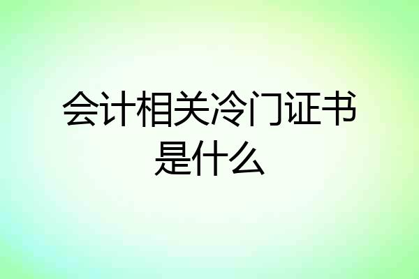 会计相关冷门证书是什么