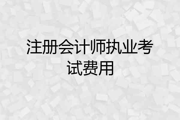 注册会计师执业考试费用