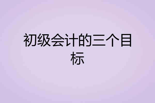 初级会计的三个目标
