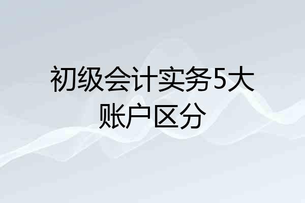 初级会计实务5大账户区分