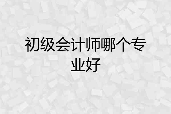 初级会计师哪个专业好